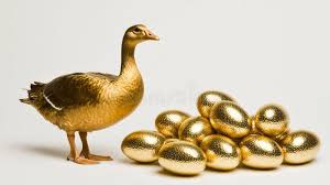 Reality Check – Commentary