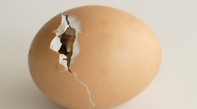 Hatching Another’s Egg – Commentary